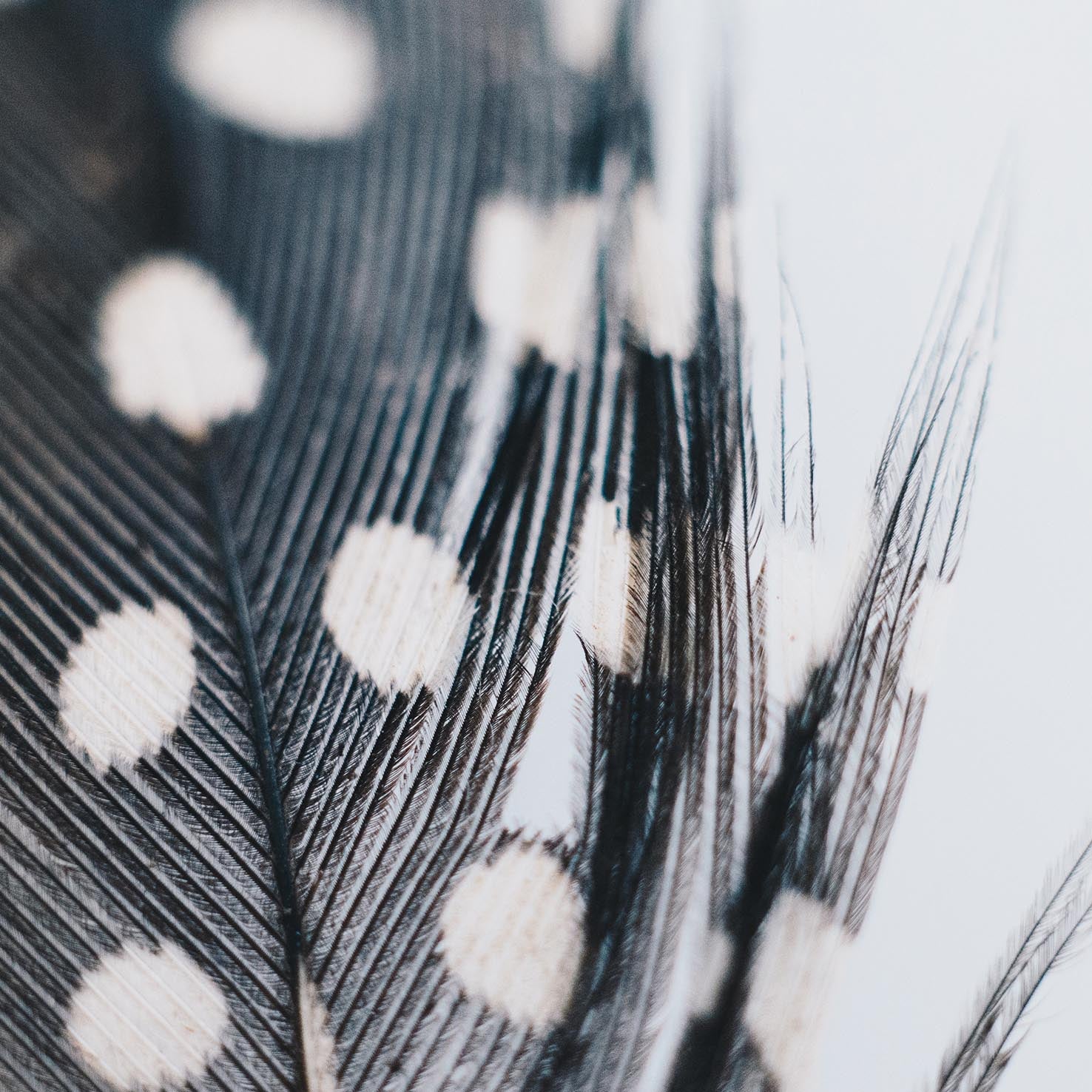 Como prevenir y minimizar las manchas cutaneas 2