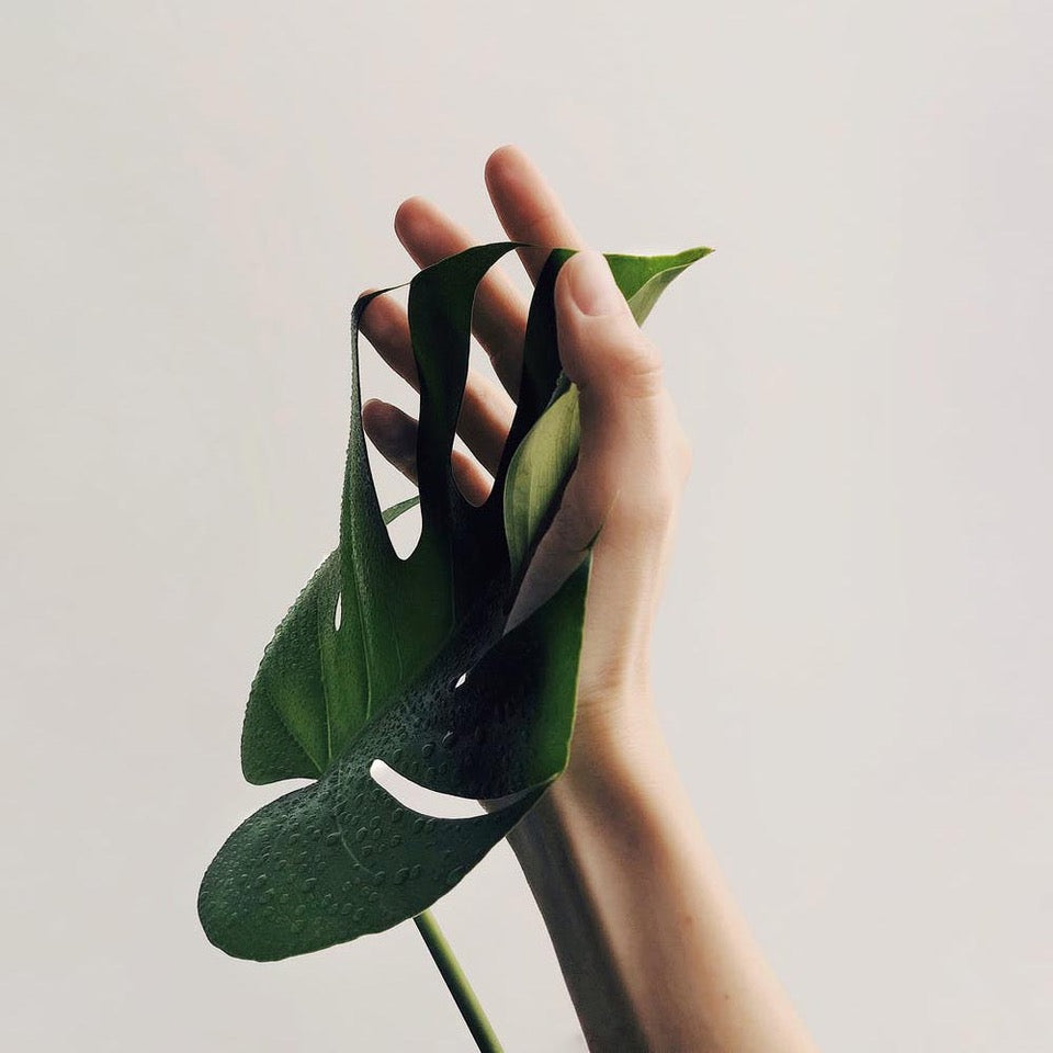 Cómo usar el retinol para cuidar tu piel: Guía Completa