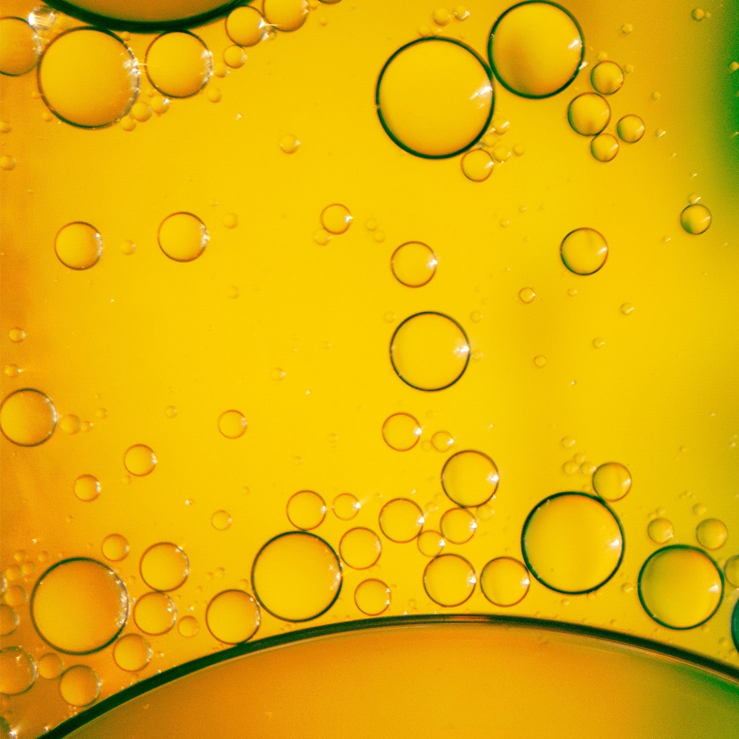 Aceite de argán para la cara: propiedades para la piel que desconocías