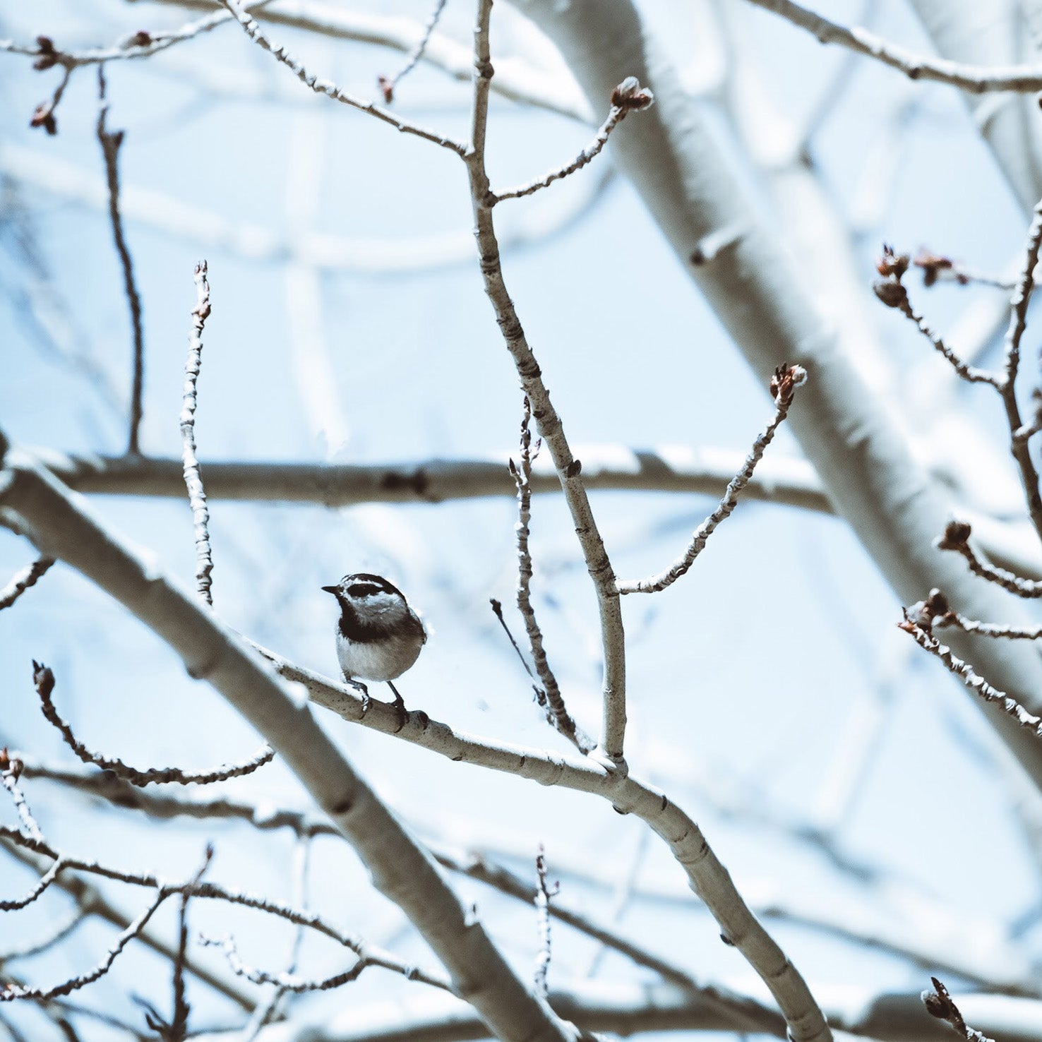 Hidratacion en invierno 10 tips