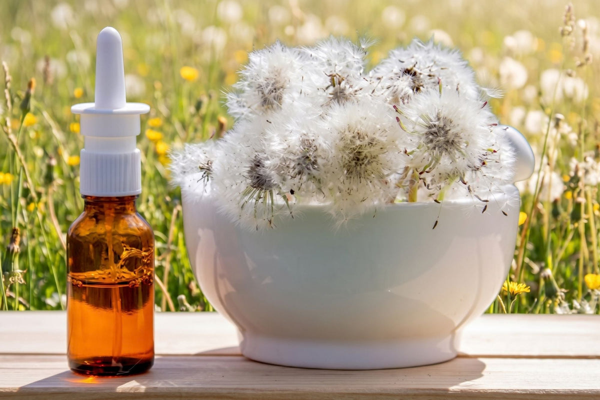 Diente de león en cosmética: propiedades y beneficios para la piel